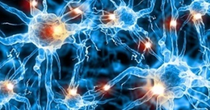 Astrocytes and Brain Health image
